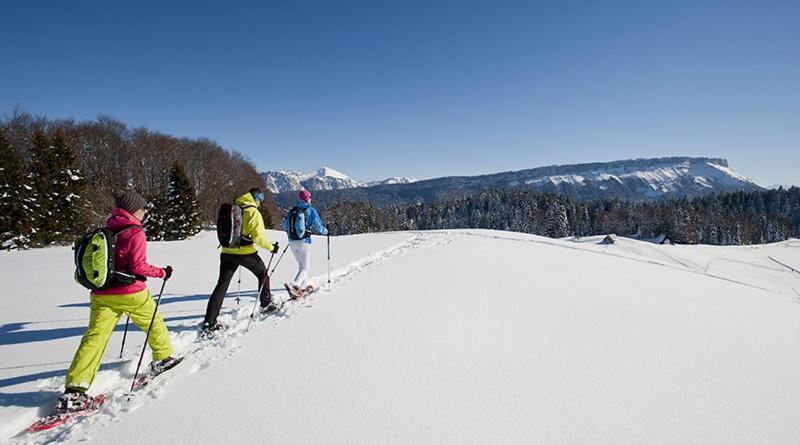 Les Chalets De Ludran Viuz-en-Sallaz エクステリア 写真