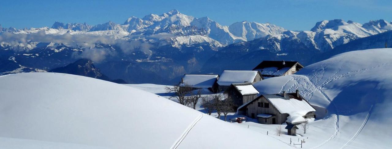 Les Chalets De Ludran Viuz-en-Sallaz エクステリア 写真