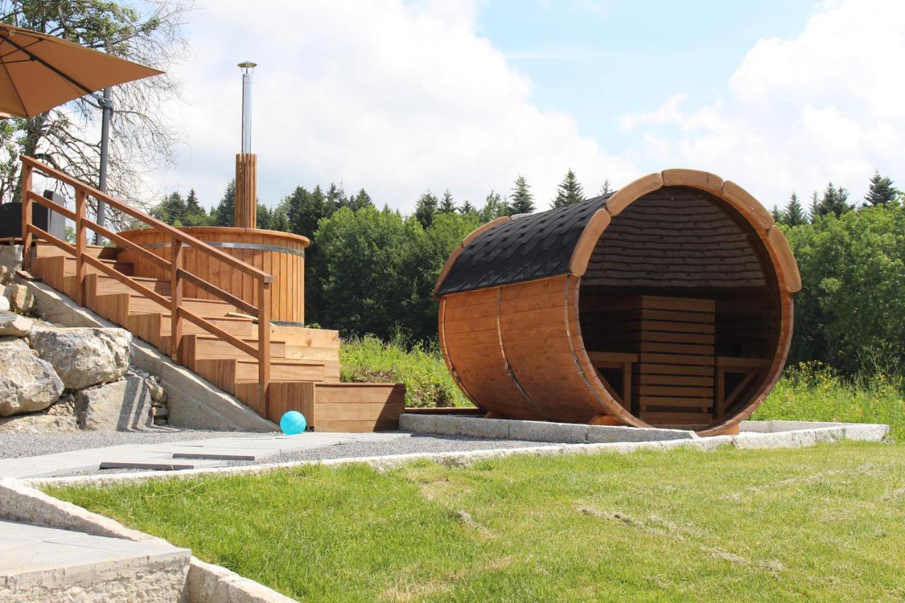 Les Chalets De Ludran Viuz-en-Sallaz エクステリア 写真