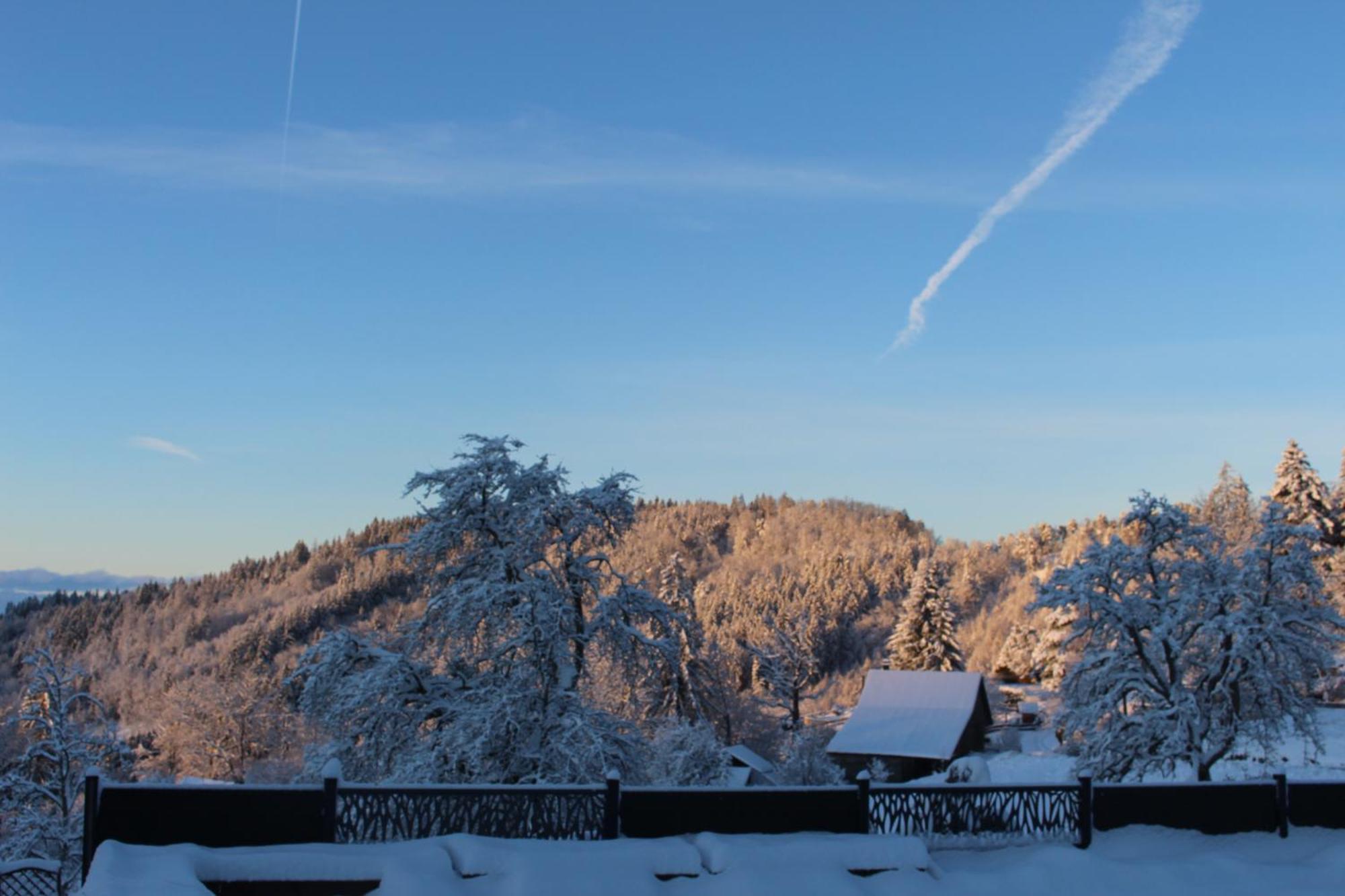 Les Chalets De Ludran Viuz-en-Sallaz エクステリア 写真
