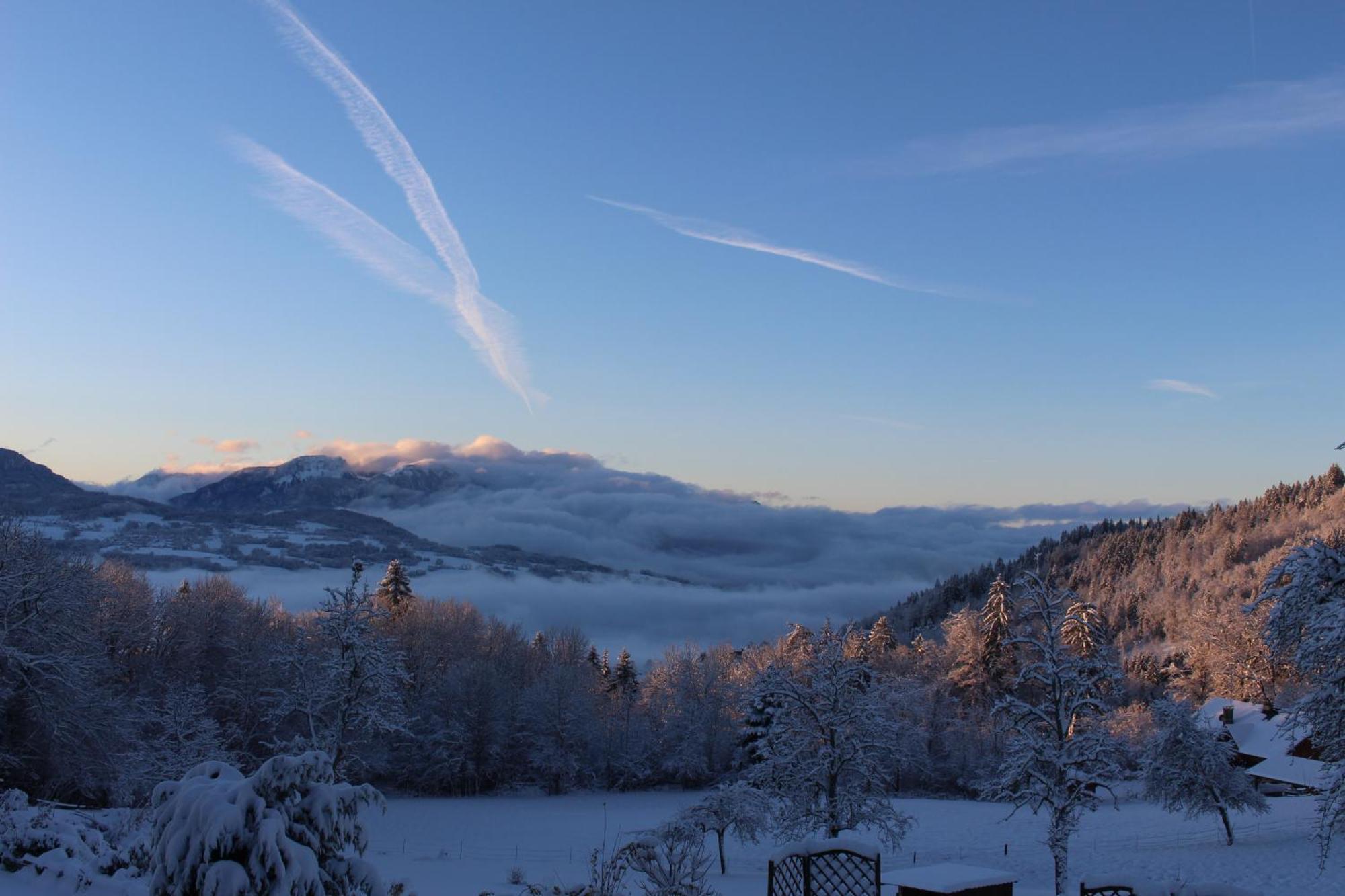 Les Chalets De Ludran Viuz-en-Sallaz エクステリア 写真