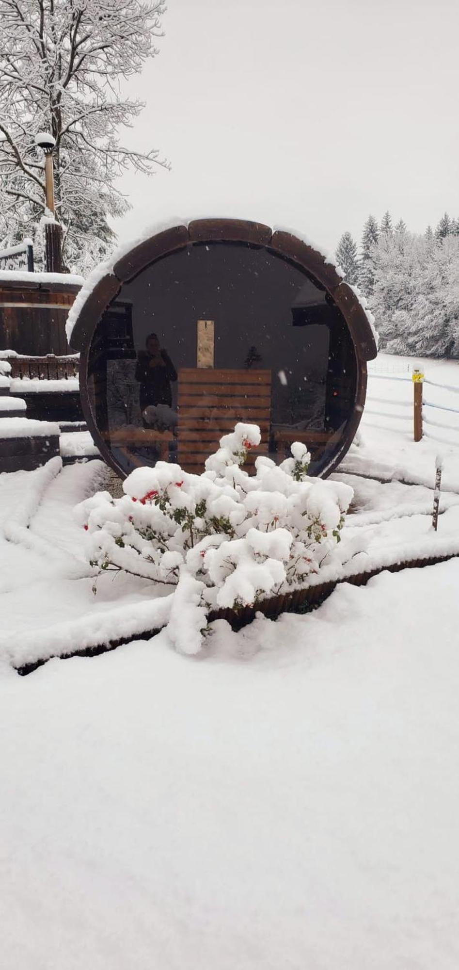 Les Chalets De Ludran Viuz-en-Sallaz エクステリア 写真