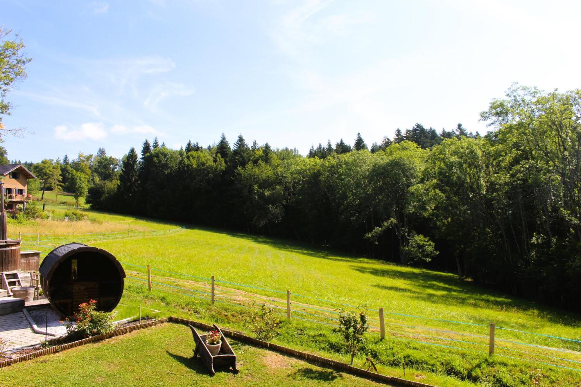 Les Chalets De Ludran Viuz-en-Sallaz エクステリア 写真