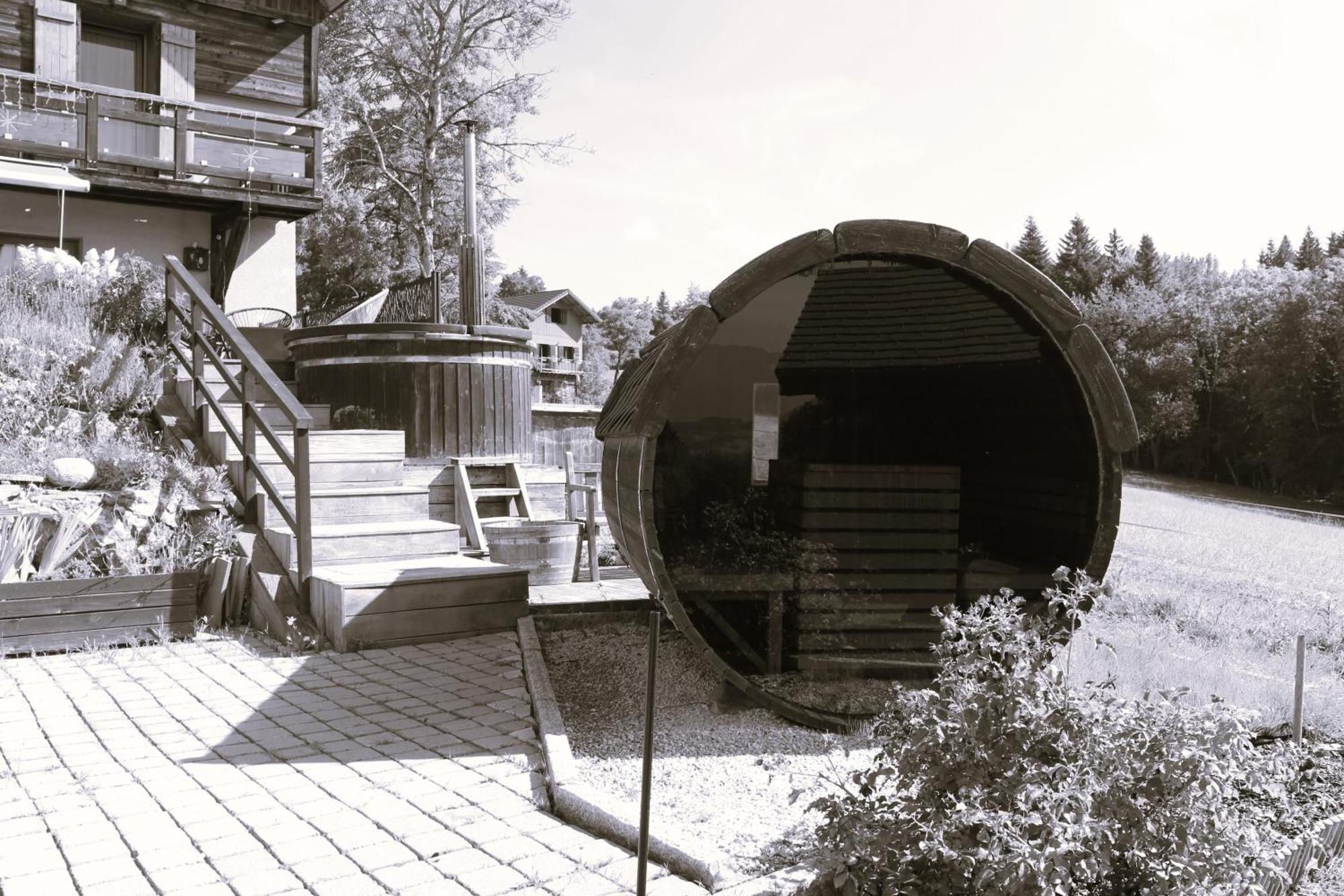 Les Chalets De Ludran Viuz-en-Sallaz エクステリア 写真