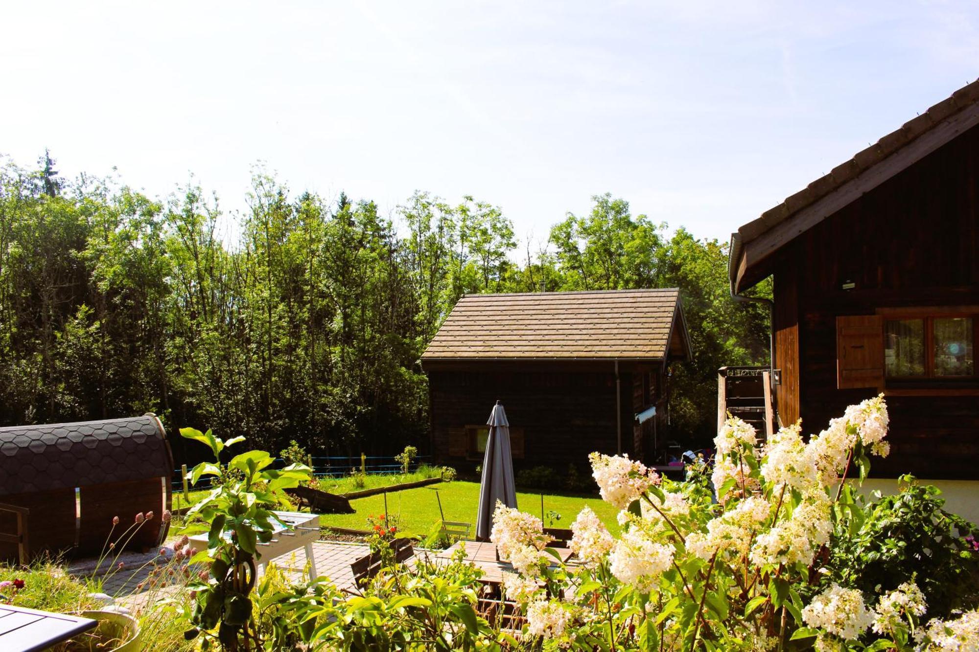 Les Chalets De Ludran Viuz-en-Sallaz エクステリア 写真