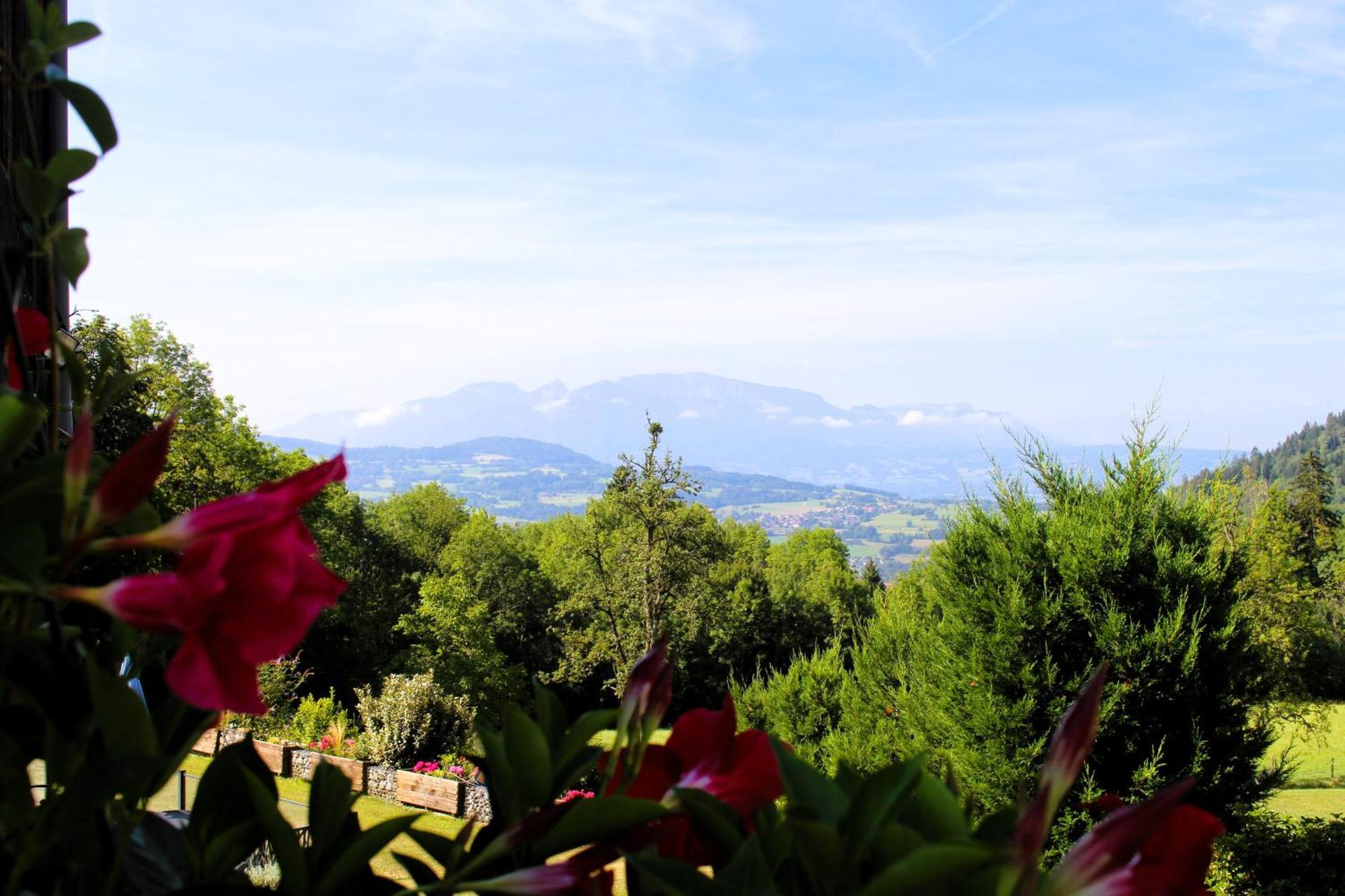 Les Chalets De Ludran Viuz-en-Sallaz エクステリア 写真